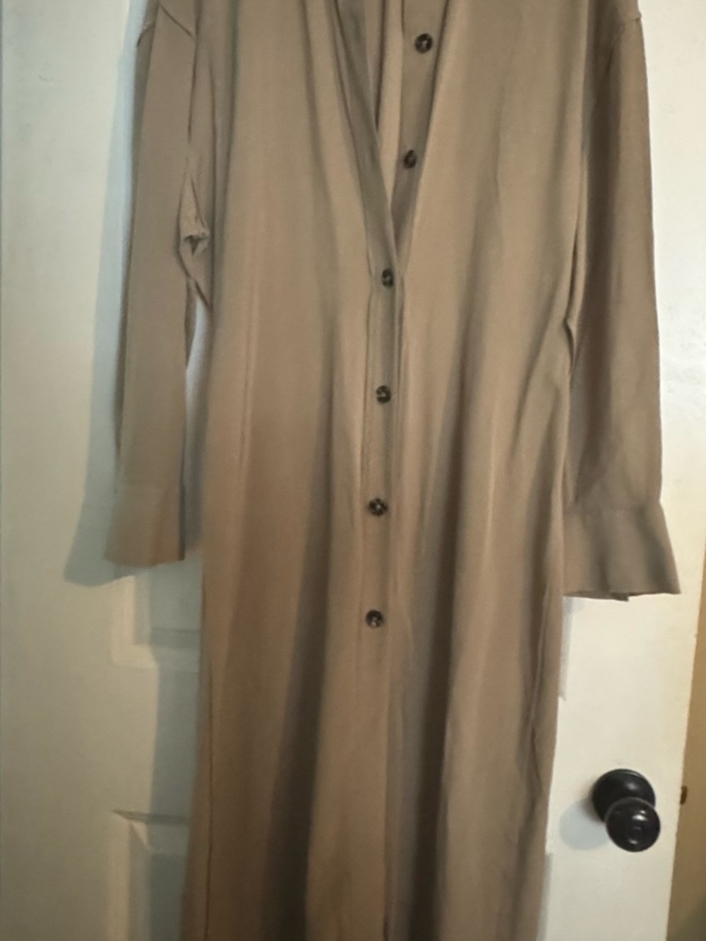 Zara Long Sleeve Button-Front Dress in Beige